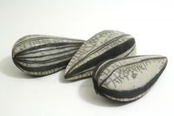 Raku